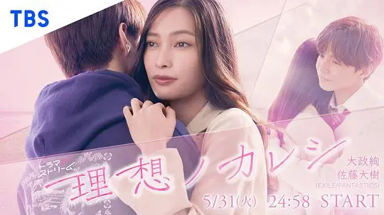 理想男友 海报