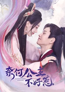 奈何公主不好惹 海报