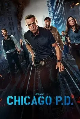 《芝加哥警署》第十二季：铁血硬汉再战街头，正义与邪恶的终极较量！