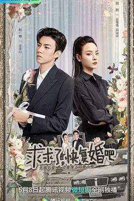 求求了，快复婚吧 海报