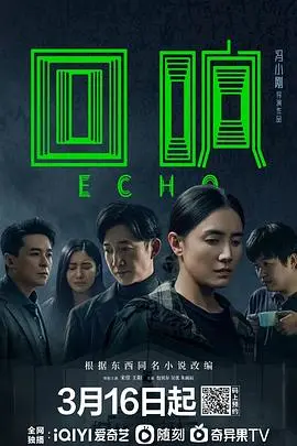 回响 海报