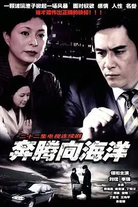 奔腾向海洋 海报
