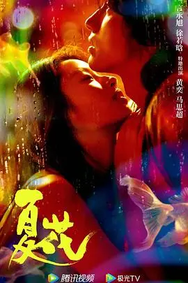 《夏花》：一段穿越时光的爱恋，一首献给错过与重逢的哀歌