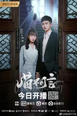 《喵不可言》：一只神秘的猫咪，一场跨越次元的奇幻冒险，爱与治愈的温暖故事。